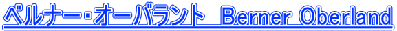 �x���i�[�E�I�[�o�����g�@Berner Oberland 