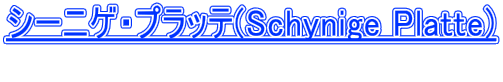�V�[�j�Q�E�v���b�e(Schynige Platte)  
